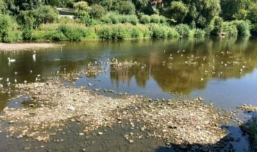 ***All Waters Closed – from Monday 13th July 2026.